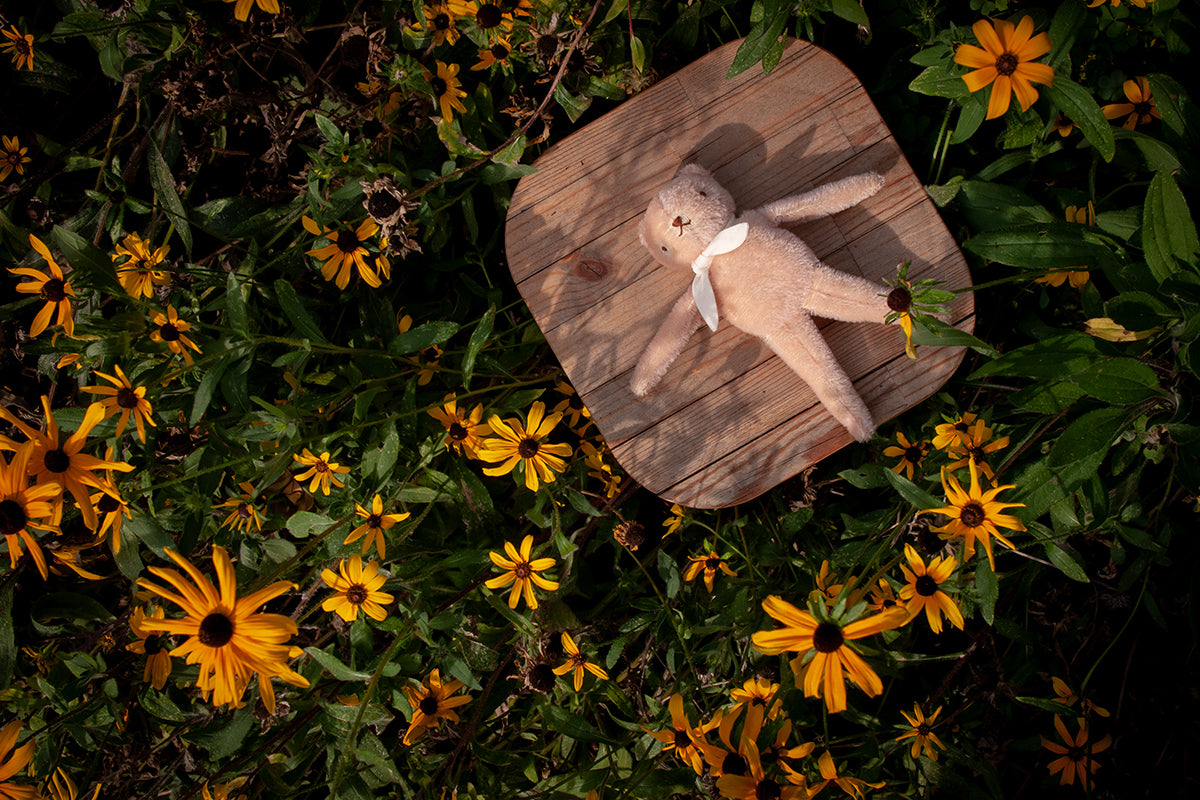 Mohair Hand Dyed Teddy Bears- POLKA DOT CLUB