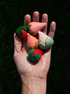 Pin Cushion strawberry wool felt craft kit jennifer murphy