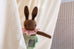 PDC Medium Brown Rabbit: MAEVE